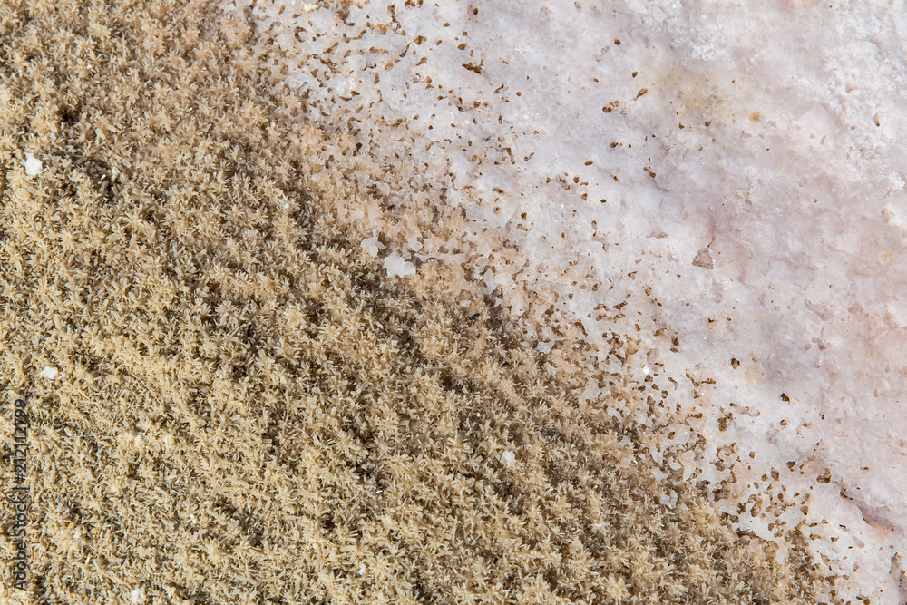 Obraz premium Salt Lake of Lipar, Sistan and Baluchistan, Iran