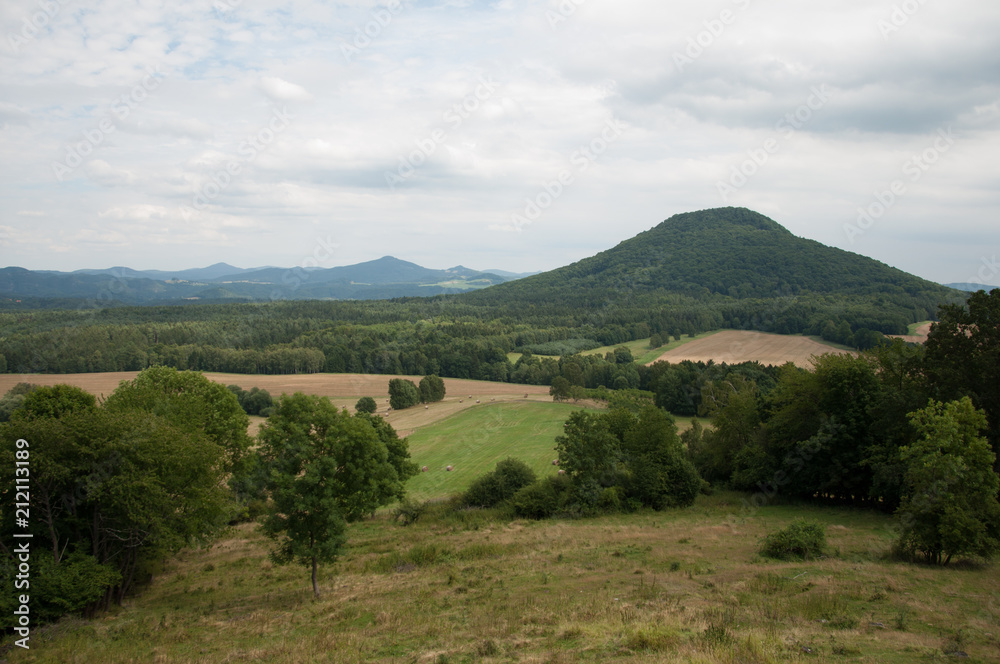 Fototapeta premium Landscape with hill and trees