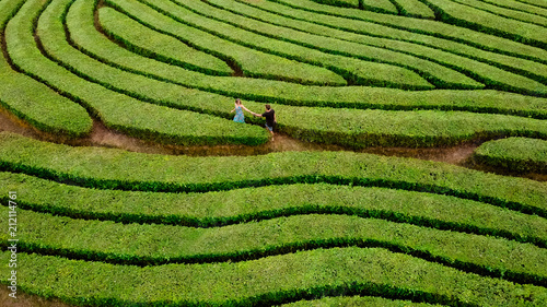 Couple walking in green bush labyrinth photo