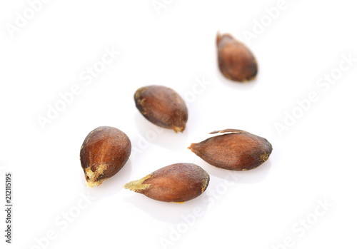 the seed apple on white background