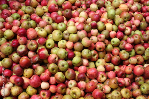 Sehr viele Äpfel in der Kelterei