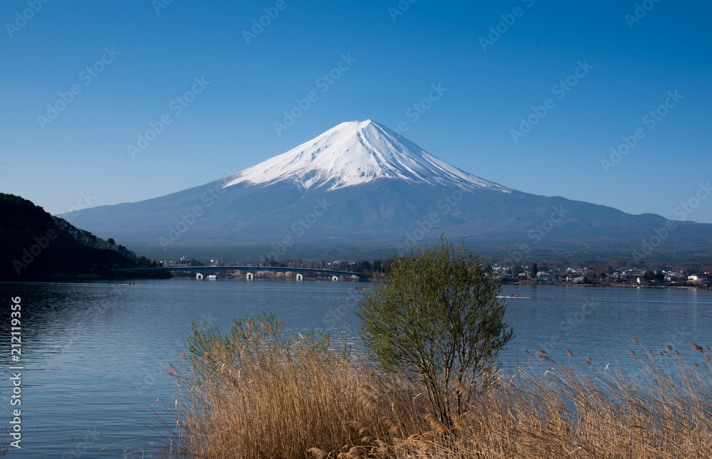 Fuji mountain and kawaguchiko lake with trees on foreground