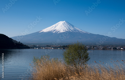 Fuji mountain and kawaguchiko lake with trees on foreground