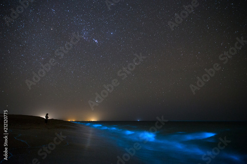 Cuadro en lienzo Bioluminescence in the Ocean, Chabahar, Sistan and Baluchistan, Iran