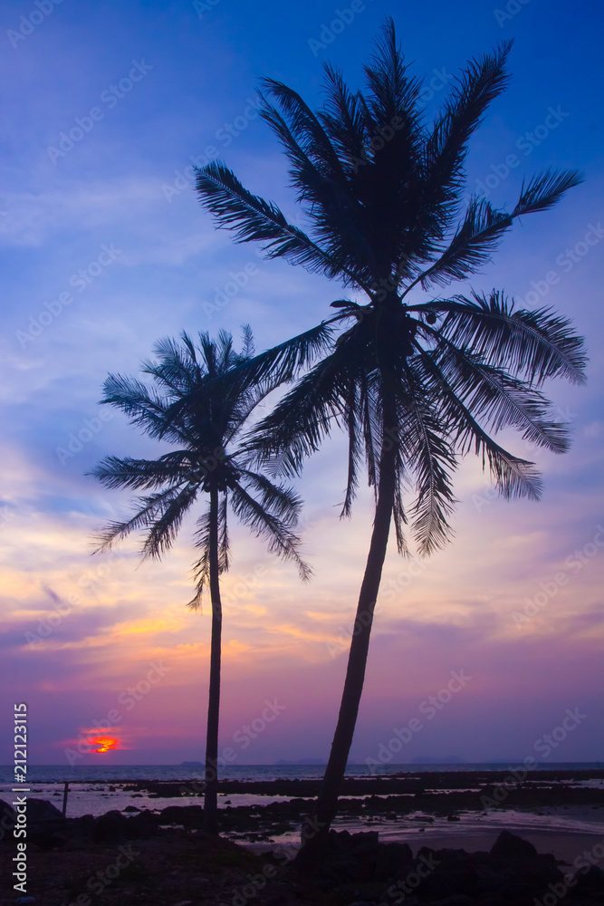 Silhouette coconut palm trees on beach at sunset, Koh Lanta in Thailand