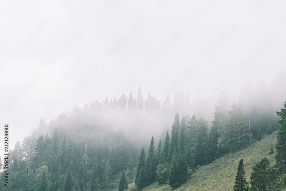 Obraz premium Thick fog in mountains with copy space on mist. Vintage foggy landscape of majestic nature in faded green tones in hipster style. Opaque haze among hills.