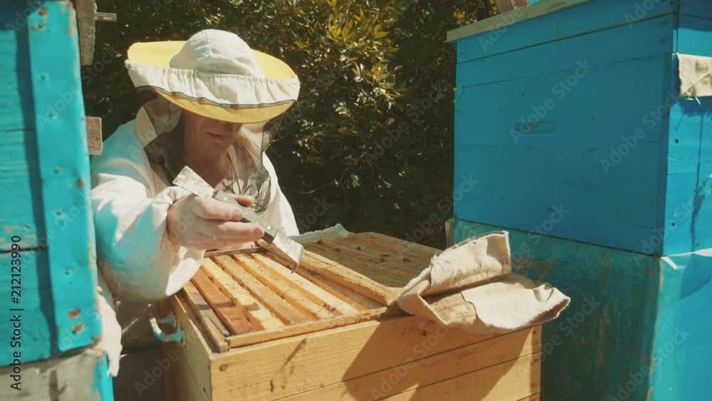 the beekeeper working in lifestyle the apiary bees fly swarm multi colored beehive slow motion video. bee-maker beekeeper man working of a smoke pipe beeper wooden hives smoker device for repelling the beekeeper working in lifestyle the apiary bees fly swarm multi colored beehive slow motion video. bee-maker beekeeper man working of a smoke pipe beeper wooden hives smoker device for repelling