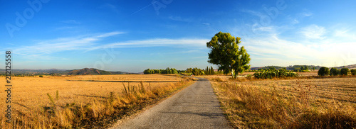 Strada di campagna nel sud Sardegna, Italia photo
