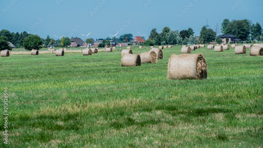 Heuernte verarbeitet zu Rundballen auf einem Feld Heuernte verarbeitet zu Rundballen auf einem Feld