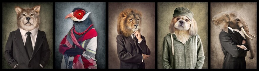 Animals in clothes. Concept graphic in vintage style. Wolf, Bird, Lion, Dog, Elephant.