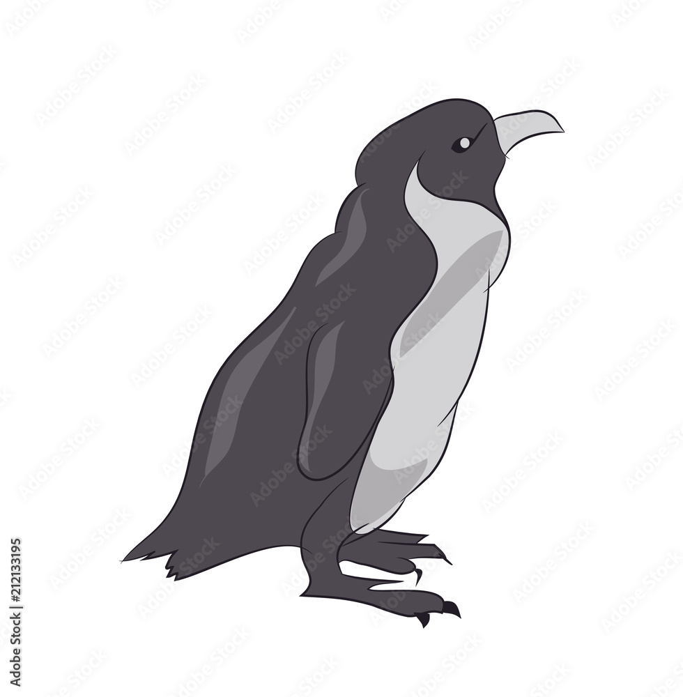 Obraz premium penguin sketch color, vector