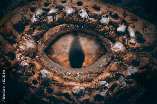 Fototapeta Naklejka Na Ścianę i Meble -  Dragon eye.