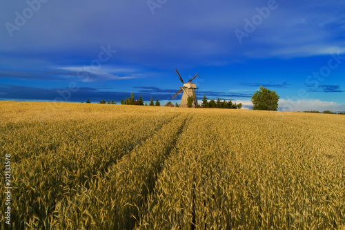 Harvesting background. Old windmill in wheat field.