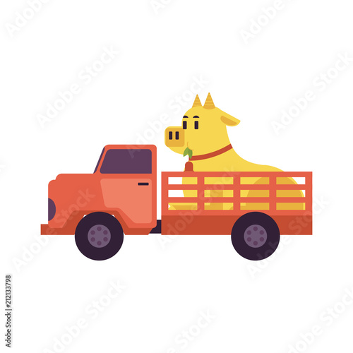 Flat farmer truck pickup delivering livestock animals - cow in body. Farming transportation and organic food. Vector isolated illustration