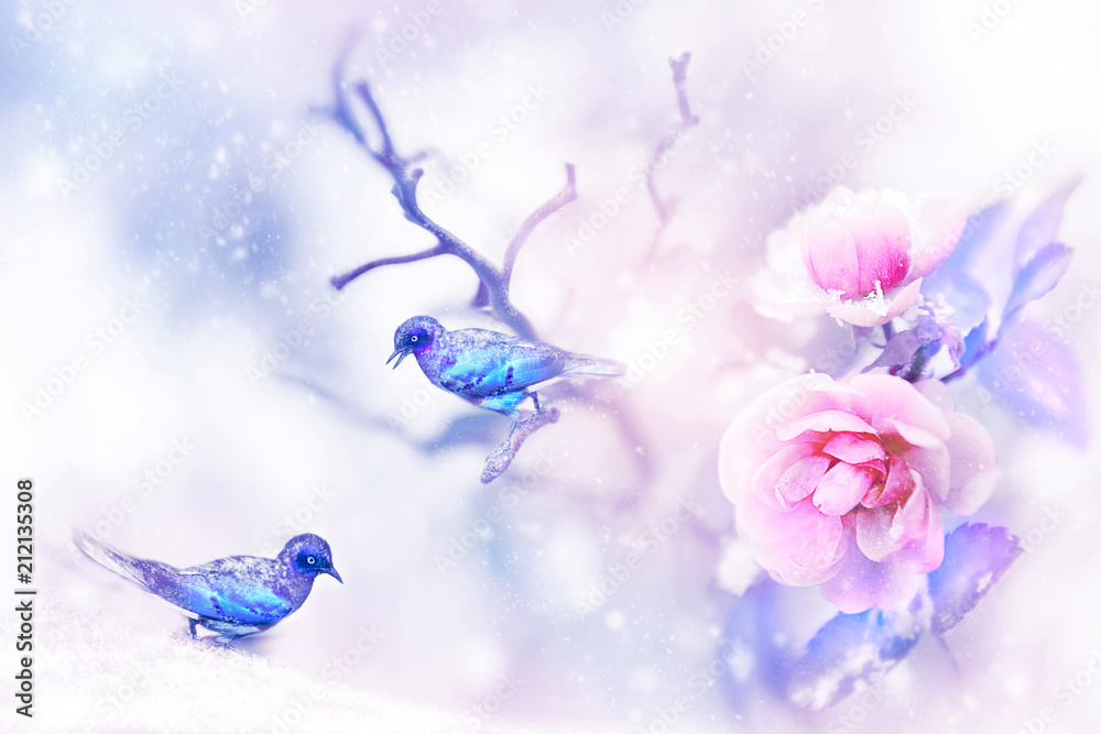 Beautiful pink roses and small purple and blue fantastic birds in the snow and frost. Artistic spring and winter natural image. Selective and soft focus. Christmas pic.