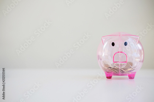 Front view of piggy bank . saving concepts