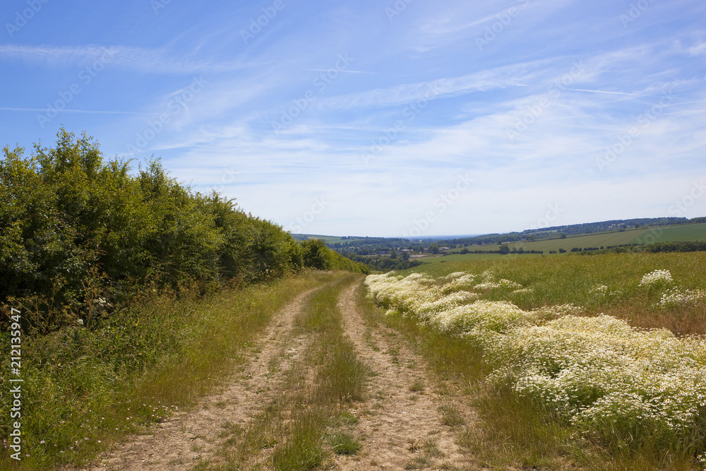 Vale of York and bridleway