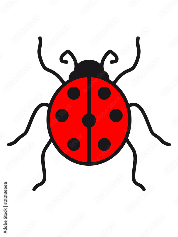 marienkäfer klein süß niedlich rot punkte schwarz krabbeln frühling