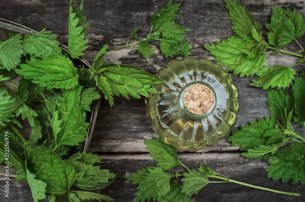 Nettle essential oil. Naturopathy. Herbal medicine.