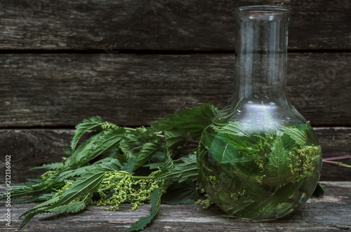 Nettle tincture. Naturopathy. Herbal medicine. photo