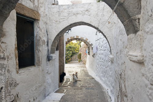 A view of a narrow street with arch and cats and a dog in the island of Patmos, Greece in summer