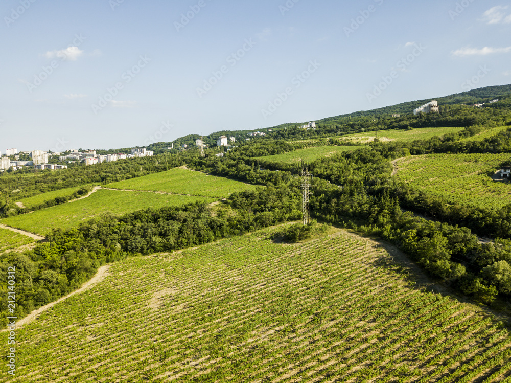 green farm plat plantation agriculture field aerial summer view green farm plat plantation agriculture field aerial summer view