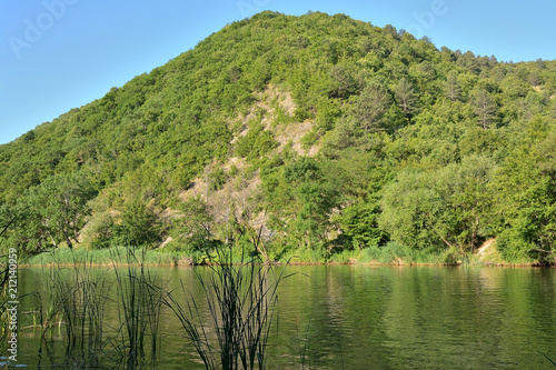High mountain covered with forest