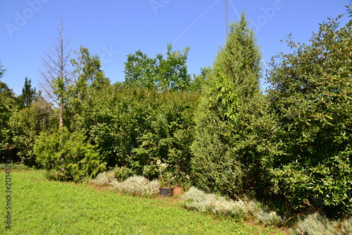 Garden space 