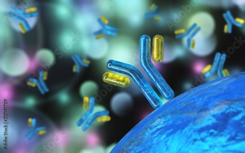 Fotografie antibodies, immunoglobulins, the immune system, 3D rendering