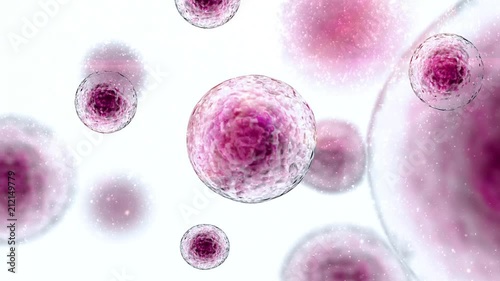 Stem Cells Immunotherapy Stem Cell floating freely 