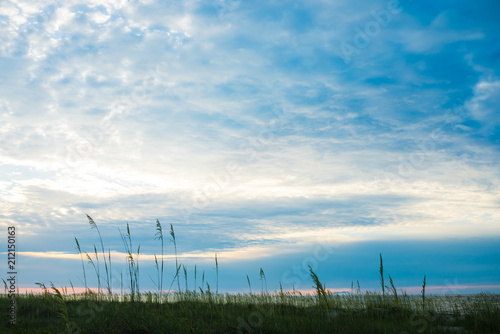 Sunrise photo of sea oats at the beach on Hilton Head Island SC.