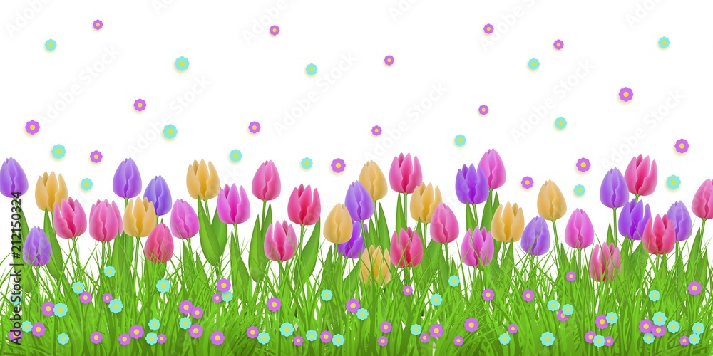 Spring floral border with colorful tulips and little blooms on green grass isolated on white background - decorative frame with fresh seasonal flowers on lawn in vector illustration.