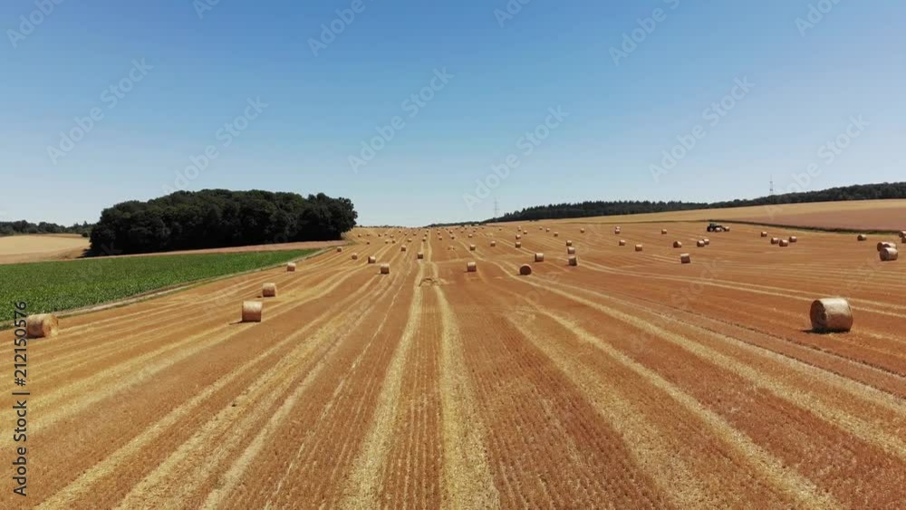 fight over Wheat field with hey bale under a bright sun in the late afternoon, Hessen, Wetterau, Germany fight over Wheat field with hey bale under a bright sun in the late afternoon, Hessen, Wetterau, Germany