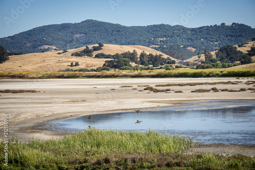 Wetlands bird refuge area