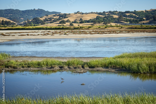 Wetlands bird refuge area