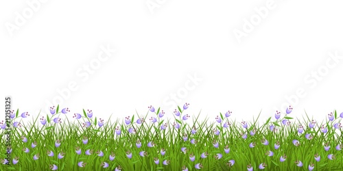 Spring or summer floral border with blue wild flowers on fresh green grass isolated on white background - decorative frame with beautiful blooms on greenery in vector illustration.