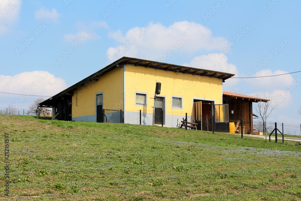 Fototapeta premium Small backyard garage and storage yellow and grey building located on small hill and surrounded with winter grass and cloudy sky in background