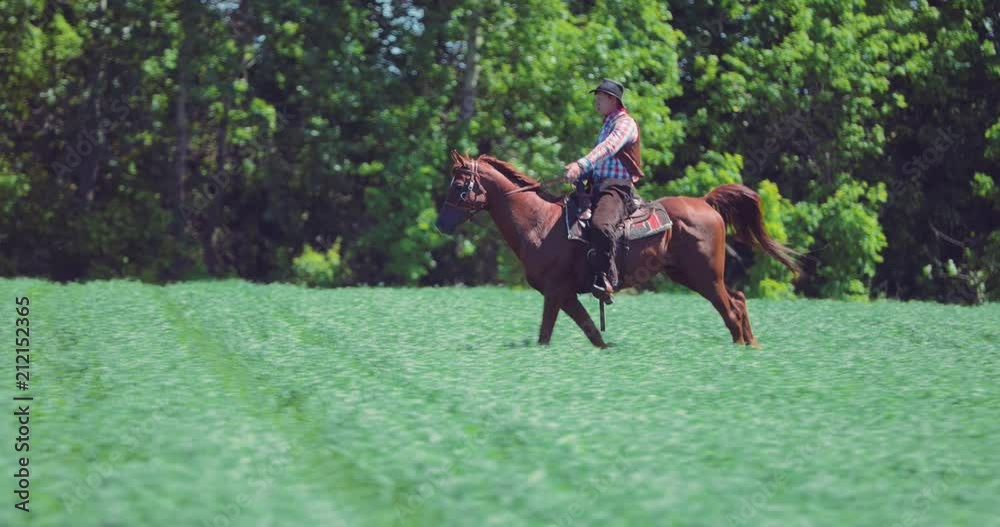 Senior, experienced horseman galloping on brown horse Senior, experienced horseman galloping on brown horse