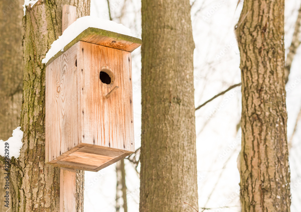 beige wooden small house for starling a birdhouse on background of two trees and the sky beige wooden small house for starling a birdhouse on background of two trees and the sky