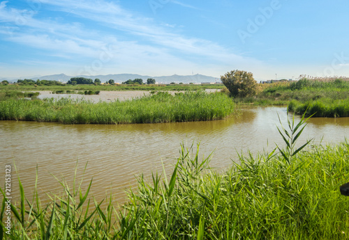 Natural spaces of the LLobregat delta