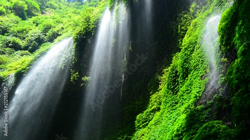 Madakaripura Waterfall is the tallest waterfall in Java and the second tallest waterfall in Indonesia. photo