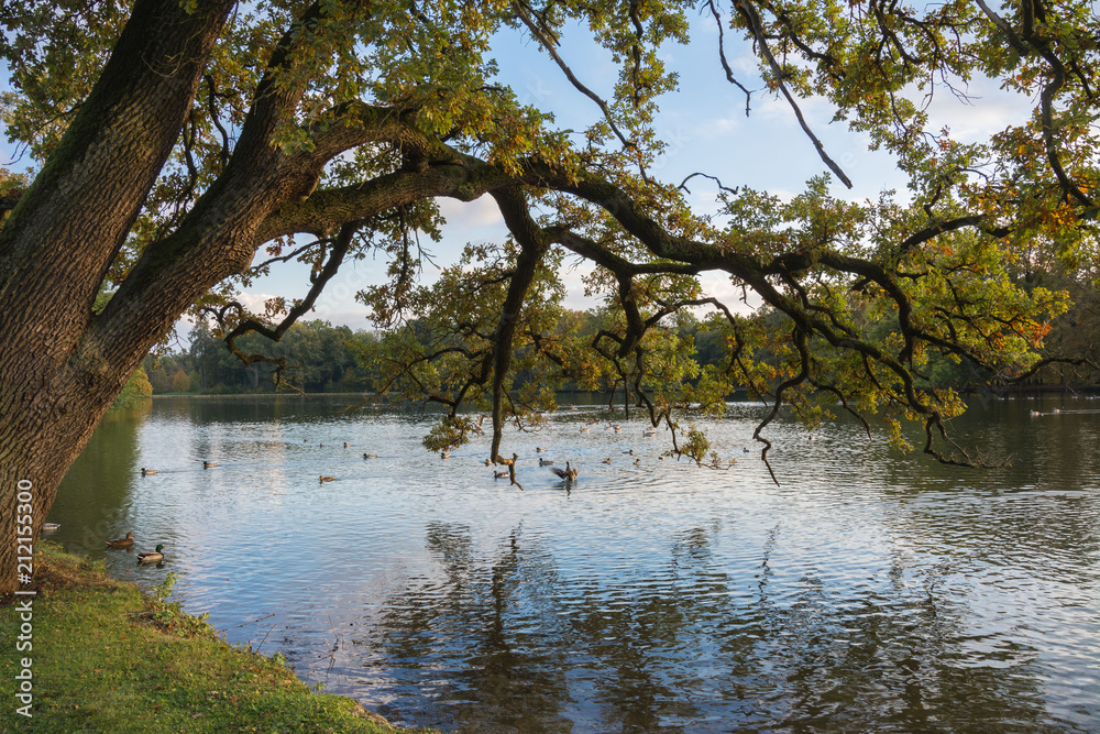 Obraz premium seelandschaft