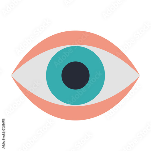 Human eye symbol vector illustration graphic design