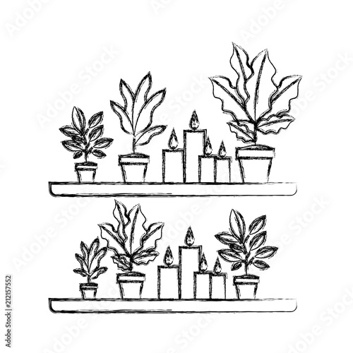 Fototapeta Naklejka Na Ścianę i Meble -  shelf with houseplants scene vector illustration design