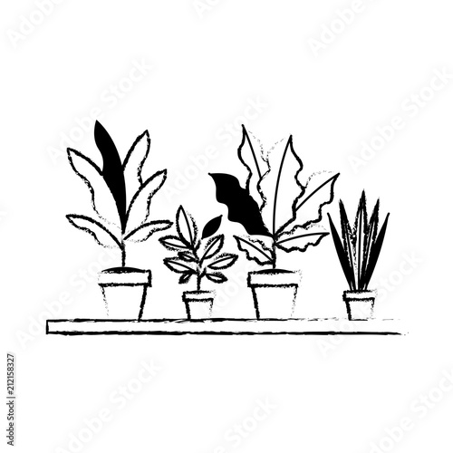 shelf with houseplants scene vector illustration design