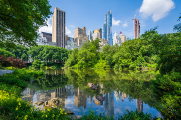 Canvas schilderij Central Park The Pond in Central Park Manhattan  © jonbilous