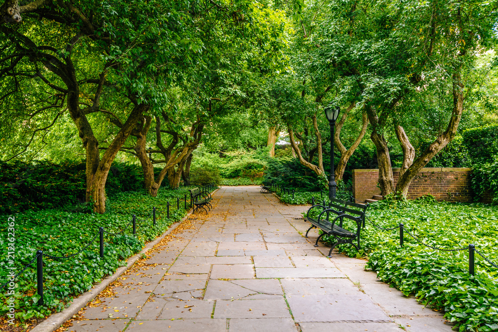 Tree-lined walkway at the Conservatory Garden, in Central Park, Manhattan, New York City.