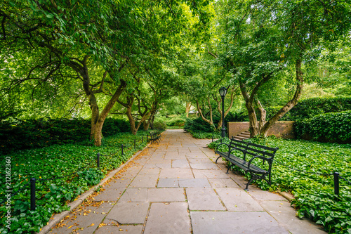 Fototapeta Naklejka Na Ścianę i Meble -  Tree-lined walkway at the Conservatory Garden, in Central Park, Manhattan, New York City.
