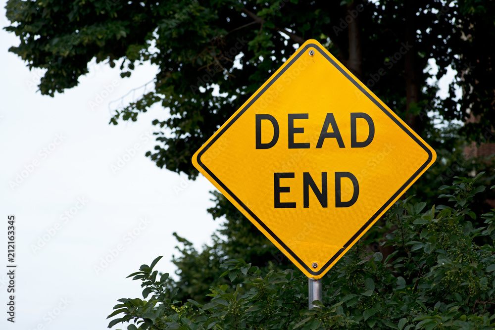 Dead end traffic warning sign in front of a forest