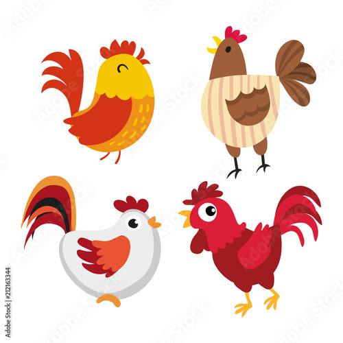 chicken character vector design